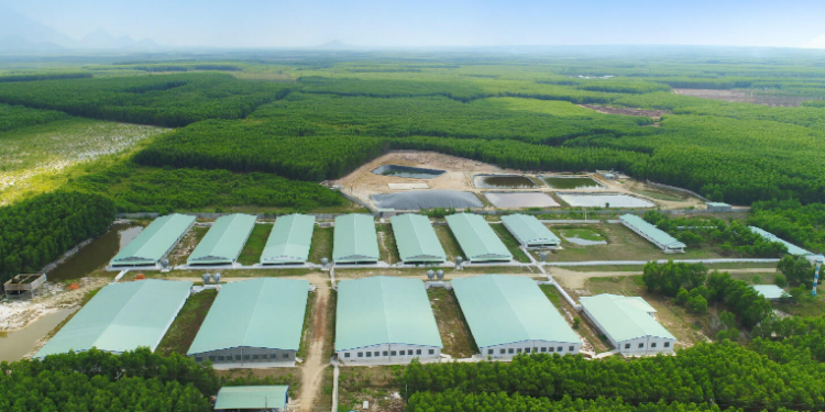 Nova Consumer đang nỗ lực hoàn thiện hồ sơ để lên sàn