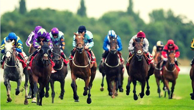 Thái Nguyên: Quy hoạch dự án trường đua ngựa hơn 8.200 tỷ