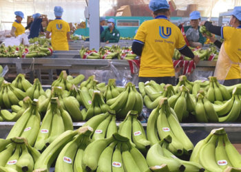 CPI tháng 6 tăng 0,27%, lạm phát tăng 0,24%