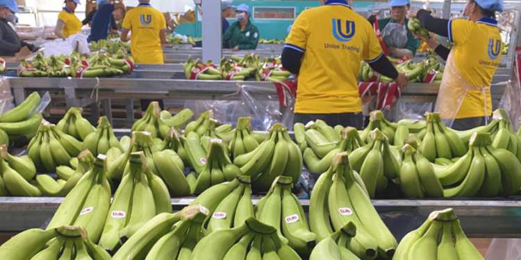 CPI tháng 6 tăng 0,27%, lạm phát tăng 0,24%