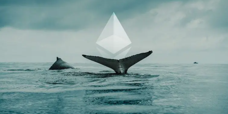 Cá voi ETH bất ngờ chuyển 151 triệu USD Ether sang sàn giao dịch Kraken