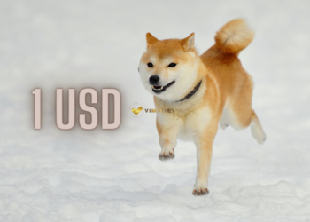Shiba Inu (SHIB) có thể đạt 1 USD vào năm 2025 ?
