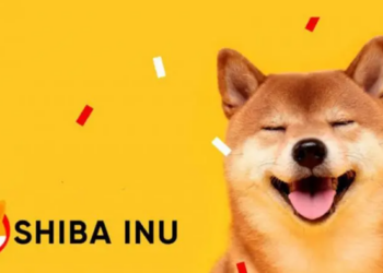Bạn cần bỏ ra bao nhiêu tiền để trở thành triệu phú Shiba Inu?