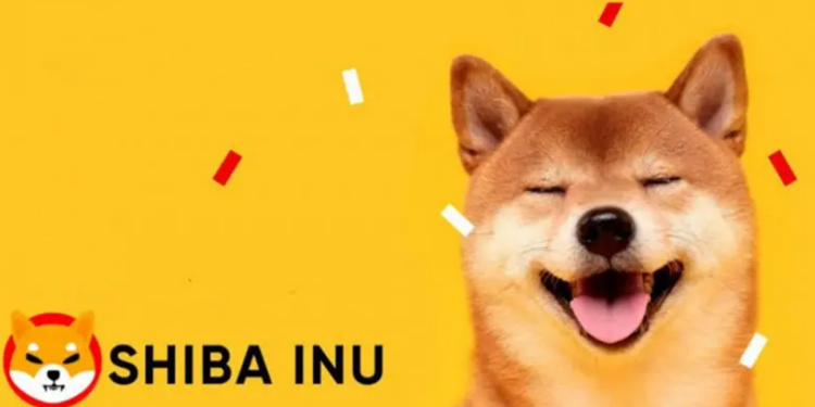 Bạn cần bỏ ra bao nhiêu tiền để trở thành triệu phú Shiba Inu?