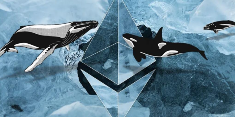Cá voi Ethereum thức giấc chuyển hàng triệu USD ra “biển lớn”