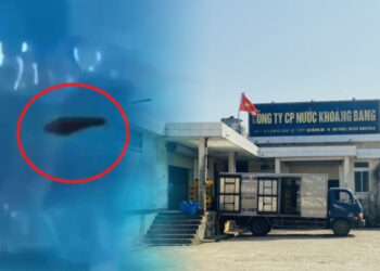 Công ty CP nước khoáng Bang bị phạt 38 triệu đồng vì tự tiêu hủy bình nước có đỉa