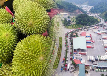 Lạng Sơn tìm nhiều biện pháp để phòng chống ách tắc khi có hàng trăm xe sầu riêng dồn lên cửa khẩu