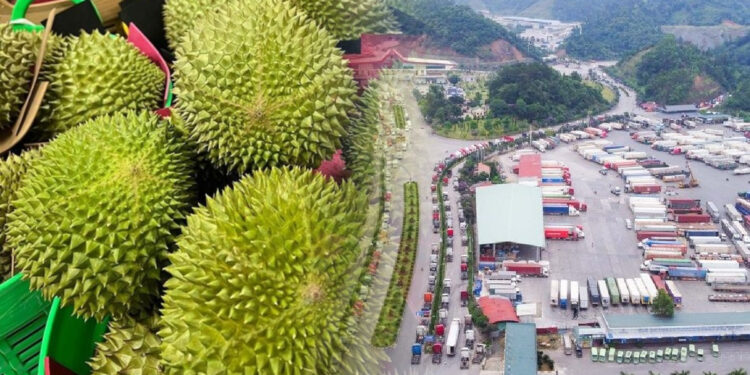 Lạng Sơn tìm nhiều biện pháp để phòng chống ách tắc khi có hàng trăm xe sầu riêng dồn lên cửa khẩu