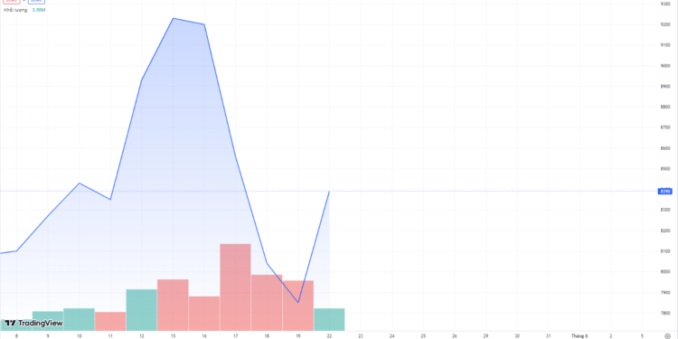 Hé lộ danh tính 2 "đại gia" mua 47 triệu cổ phiếu HBC giá "khủng"