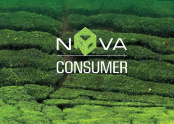 Bà Lê Hoàng Thanh Thảo xin từ nhiệm BQT Nova Consumer