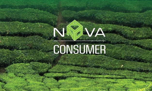 Bà Lê Hoàng Thanh Thảo xin từ nhiệm BQT Nova Consumer
