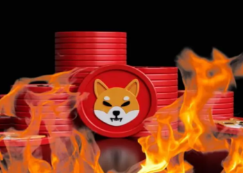 Tỷ lệ Shiba Inu burn tăng 1.077%