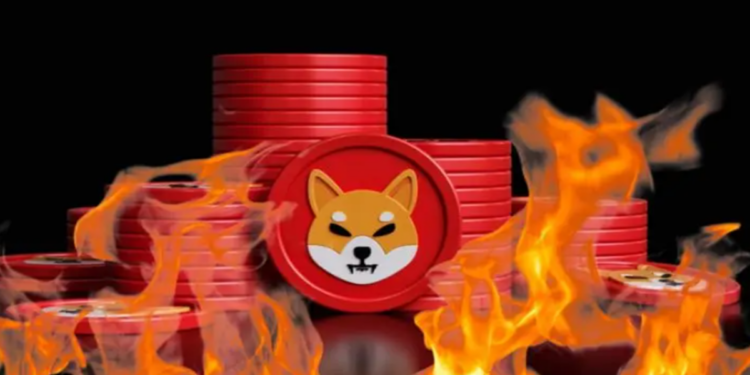 Tỷ lệ Shiba Inu burn tăng 1.077%
