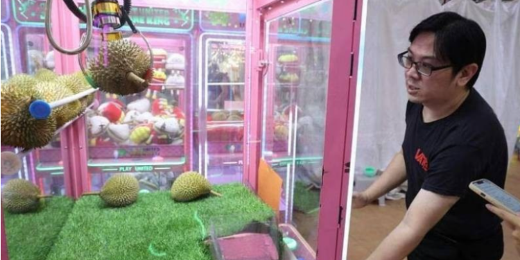 Singapore: Lắp máy gắp sầu riêng vì nguồn cung dồi dào