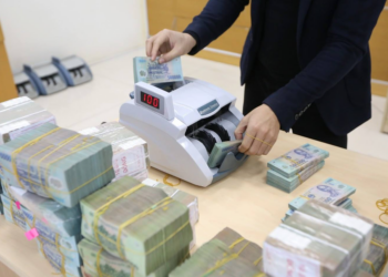 Sự cố rút tiền hàng loạt ở tổ chức tín dụng: Chính phủ muốn bổ sung quy định xử lý