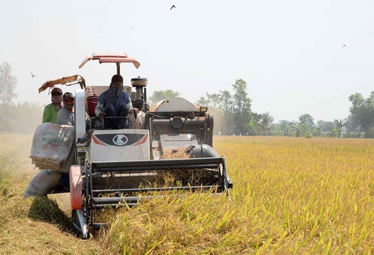 Xuất khẩu gạo tăng "khủng", cao nhất trong 10 năm