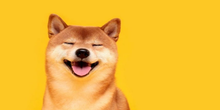 Cá voi Shiba Inu “ôm” 100.000 tỷ USD SHIB thức giấc
