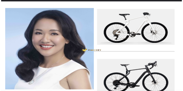 Toàn cảnh ồn ào Lê Diệp Kiều Trang và dự án gọi vốn “nhập nhằng” 7 triệu USD