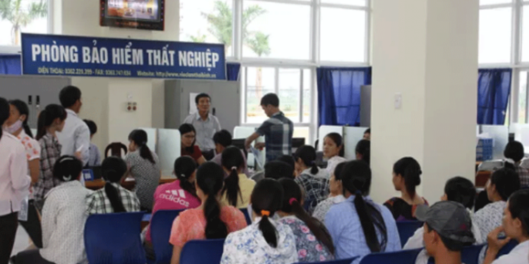 13% lao động trình độ đại học trở lên làm hồ sơ nhận trợ cấp thất nghiệp