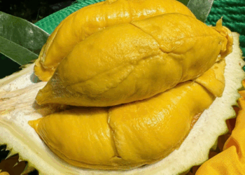 Việt Nam – Trung Quốc thỏa thuận lập “luồng xanh” cho nông sản