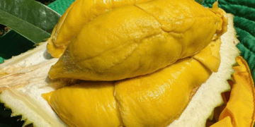 Việt Nam – Trung Quốc thỏa thuận lập “luồng xanh” cho nông sản