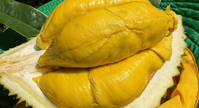 Việt Nam – Trung Quốc thỏa thuận lập “luồng xanh” cho nông sản