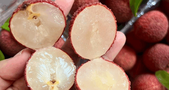 Vải thiều không hạt Trung Quốc giá 900.000 đồng/kg: Đắt vẫn cháy hàng