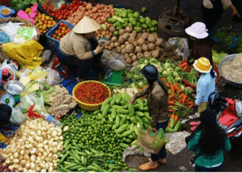 Xoá bỏ thuế khoán: Đề xuất lộ trình 3 giai đoạn cho hộ kinh doanh