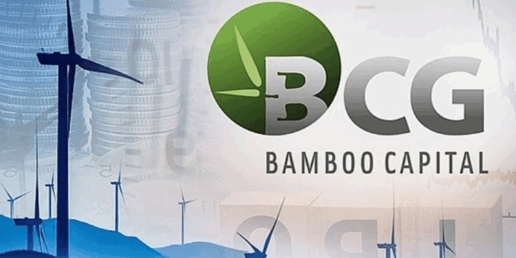 Bamboo Capital liên tiếp thay tướng: Tín hiệu bất ổn hay chiến lược tái cấu trúc?