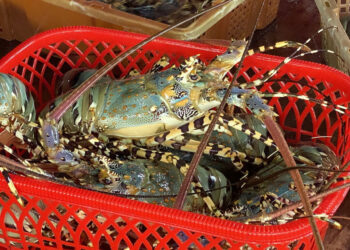 Top 5 mặt hàng Việt liên tục lập kỷ lục xuất khẩu