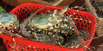 Top 5 mặt hàng Việt liên tục lập kỷ lục xuất khẩu