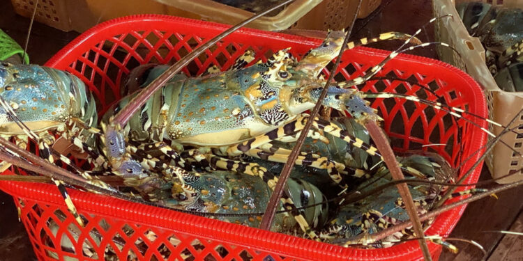 Top 5 mặt hàng Việt liên tục lập kỷ lục xuất khẩu